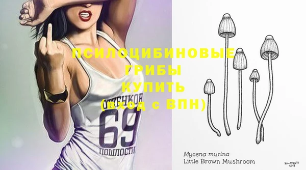 стафф Алексеевка