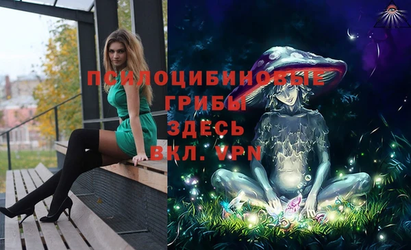 герыч Алексин