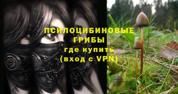 герыч Алексин
