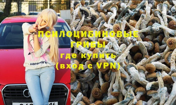 твердый Алзамай