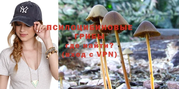 стафф Алексеевка