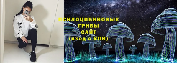 стафф Алексеевка