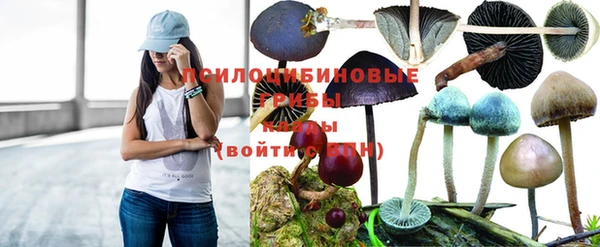 твердый Алзамай