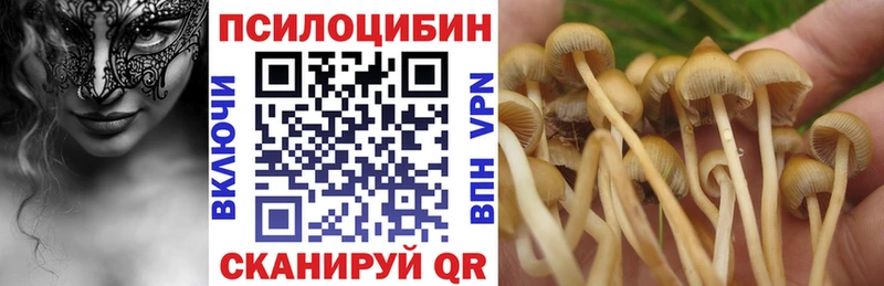 Псилоцибиновые грибы мухоморы  как найти закладки  Томмот 